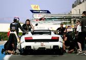  VIP bei Super Trofeo 