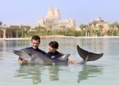 VIP-Urlaub in the Palm