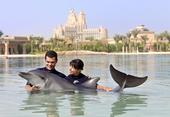 VIP-Urlaub in the Palm