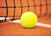  VIP bei Tennis-Turnier 