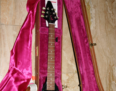  Jackson-Gitarre 