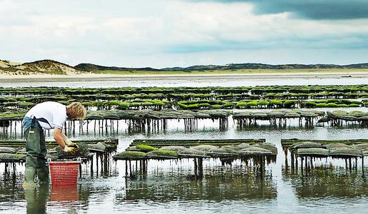  Sylt VIP-Wochenende 