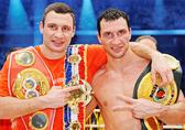  Klitschkos Handschuhe 