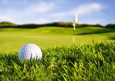  Golfen mit Blöcher 