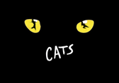  Cats exklusiv 